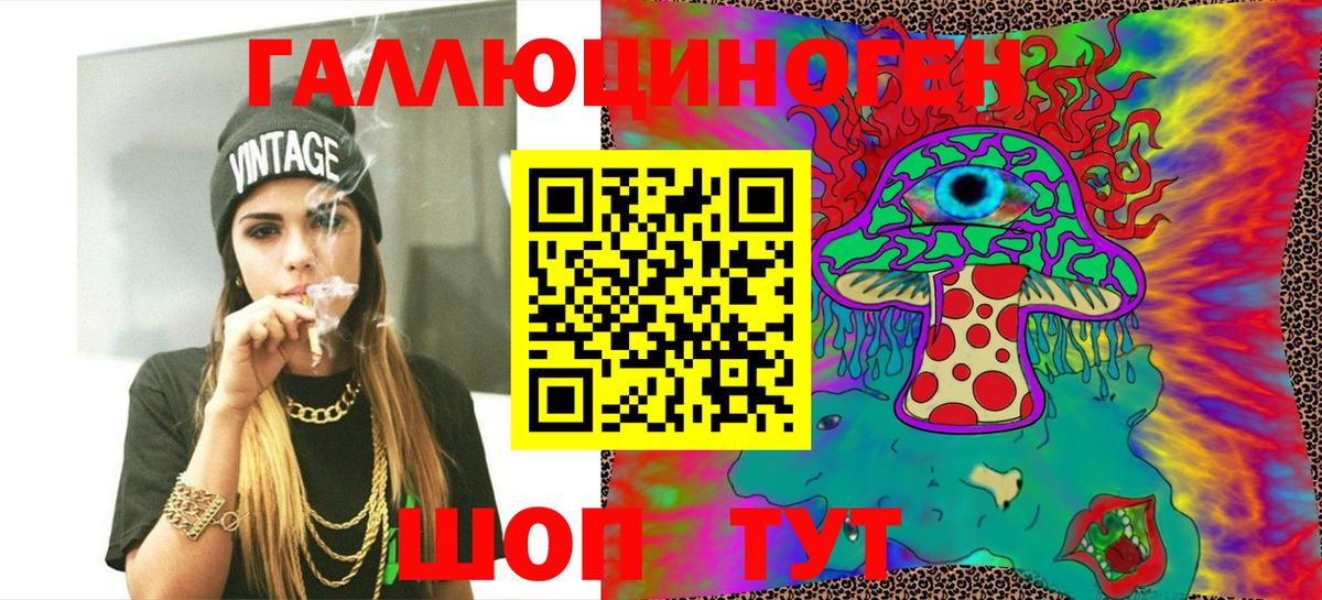 Псилоцибиновые грибы Psilocybe Берёзовский