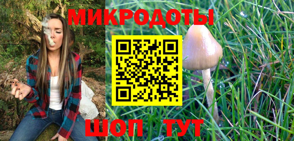 Берёзовский  Псилоцибиновые грибы мицелий  Вход с VPN 