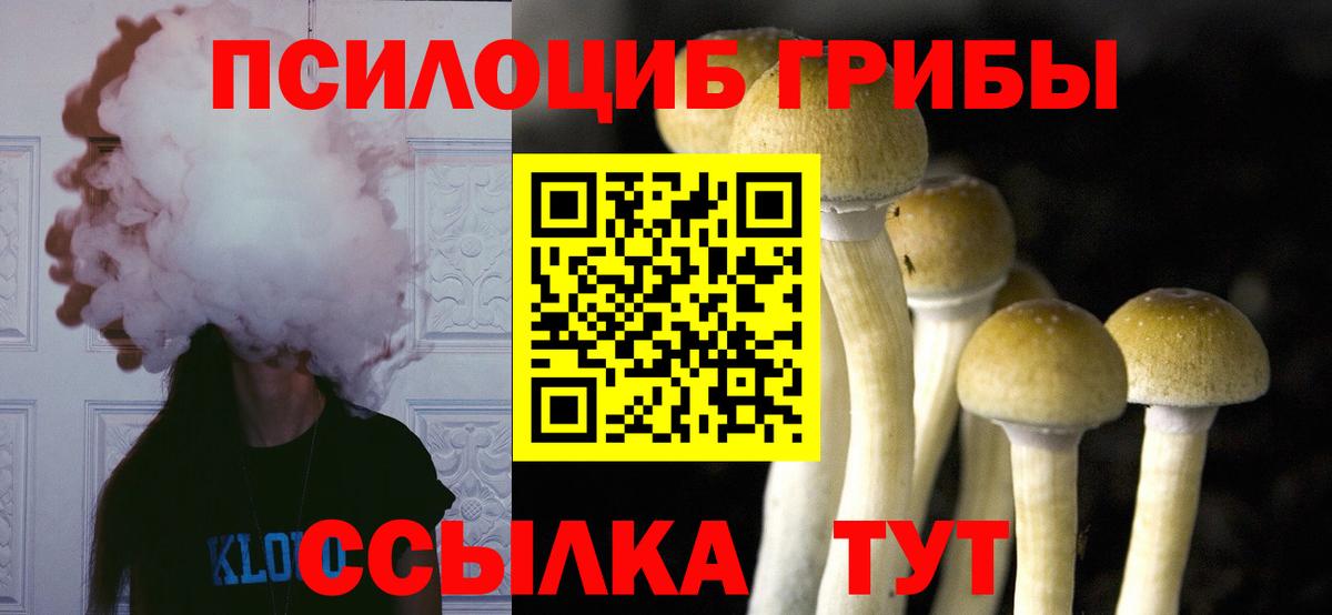 Галлюциногенные грибы Берёзовский
